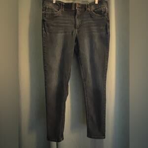 Democracy “ab” Technology Dark Denim Skinny Jeans 16